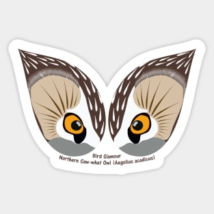 Northern Saw-whet Owl Eyes Sticker